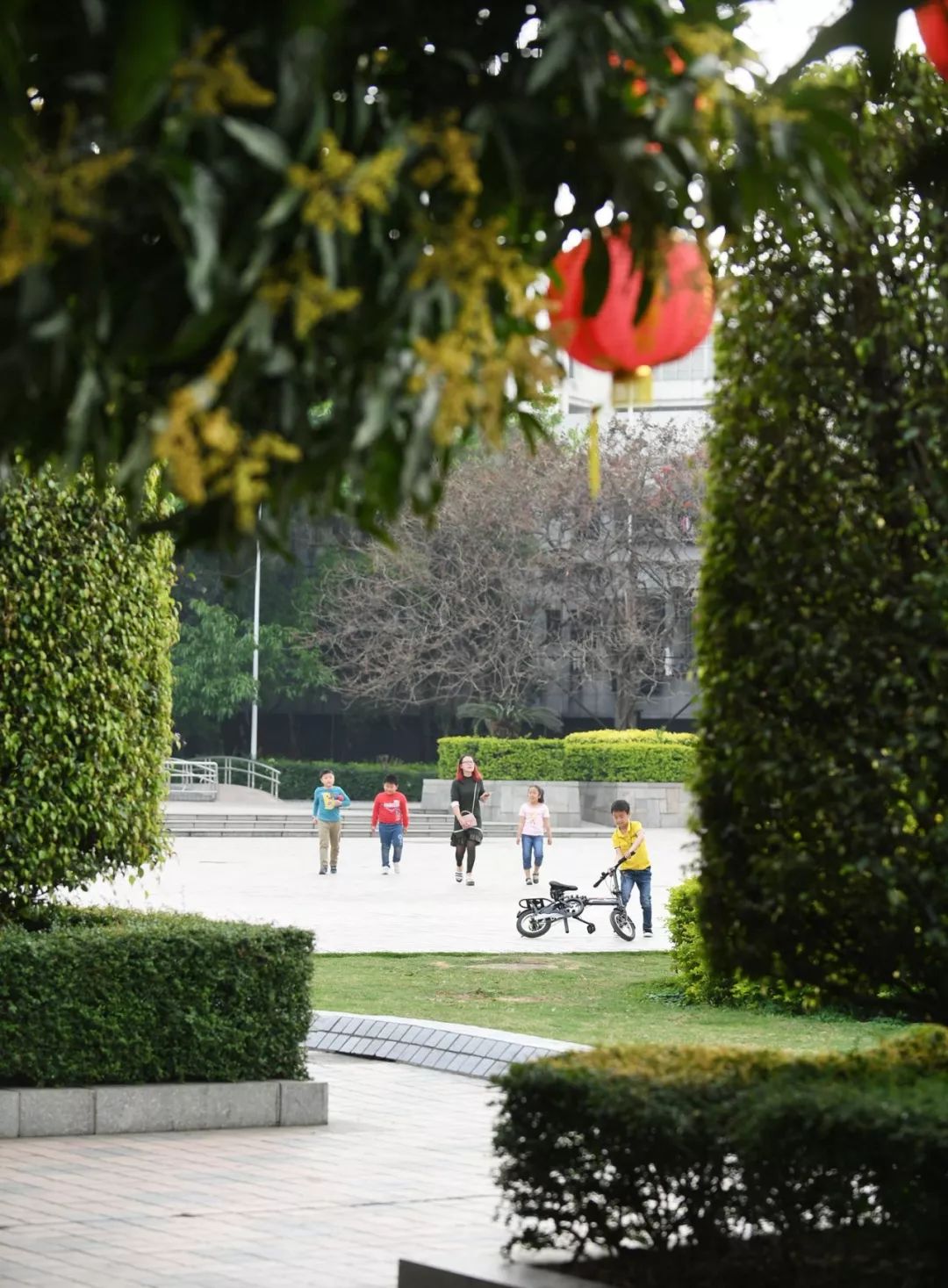 这里是佛山,小镇松岗