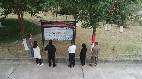 高明网红森林公园,佛山森林公园高明