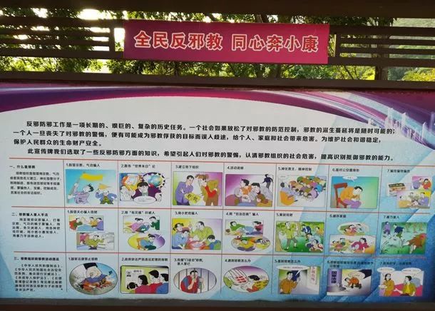 高明网红森林公园,佛山森林公园高明