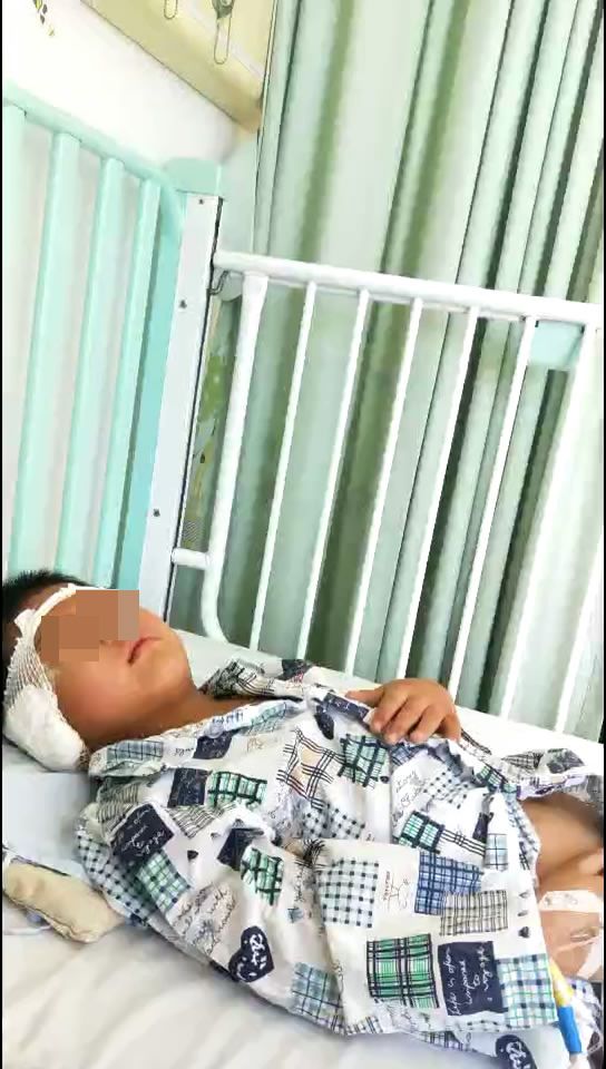 海兴虐待儿童后续,海兴县虐童事件