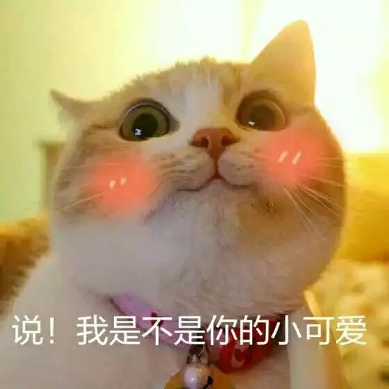 额前长小碎发,额前小碎发往后长