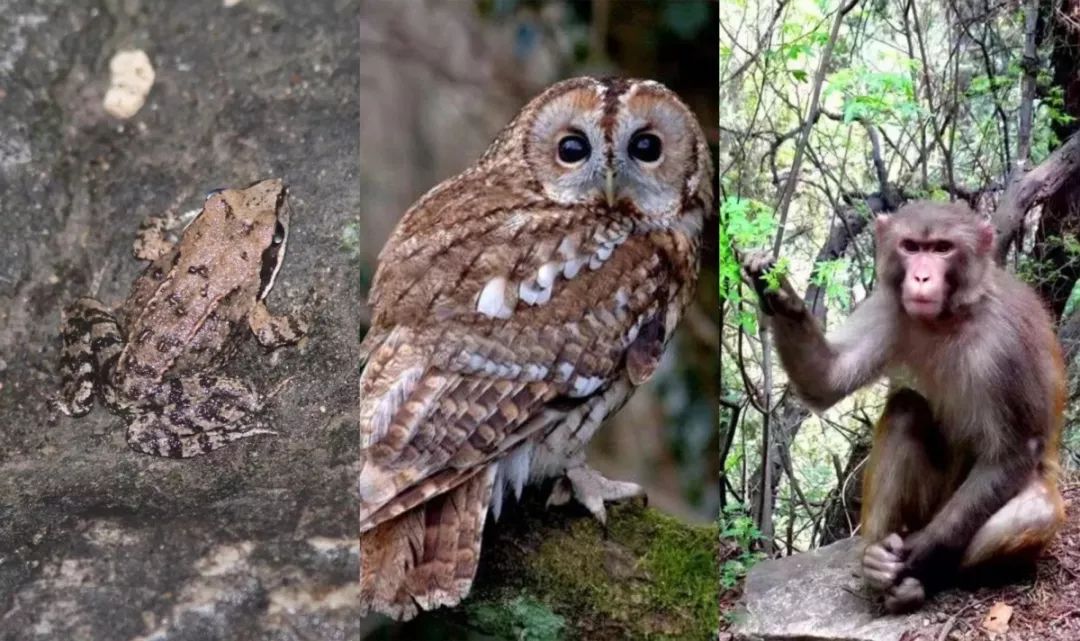 玩的地方推荐三天游,三天两夜旅游强推