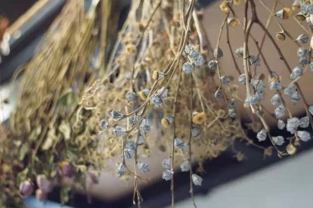 北京才女徐静蕾,徐静蕾李亚鹏北京台