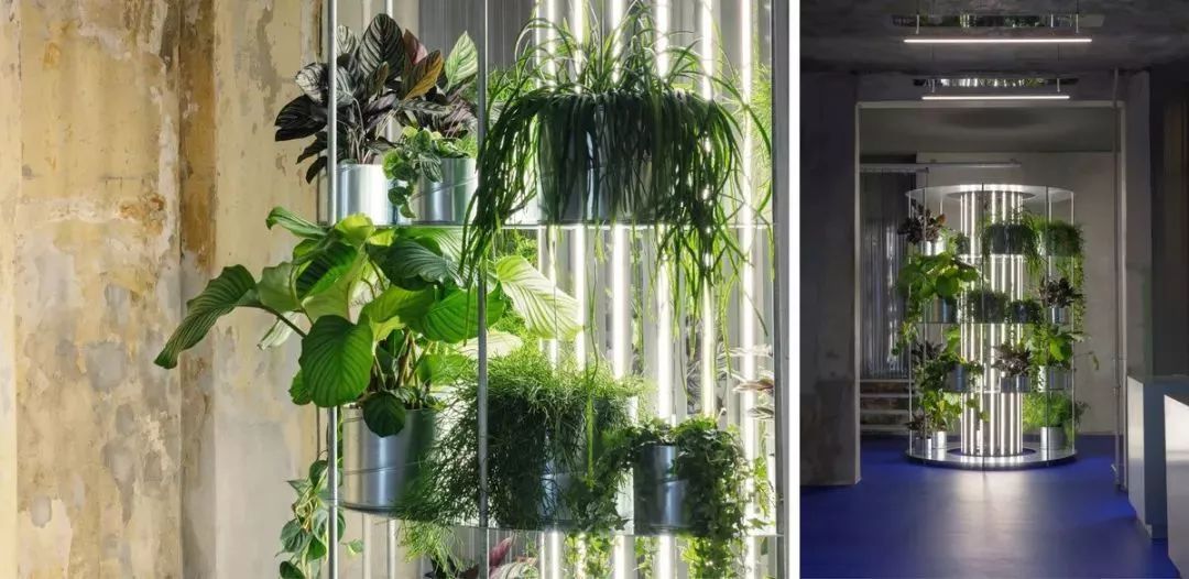 不用羡慕小S坐拥小姐姐花店，全球最美的7家花店还等你去打卡呐~