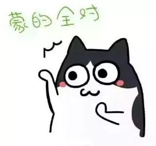 期末复习高分秘籍,期末学霸秘籍