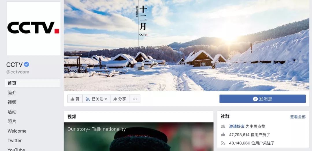 老外多爱猫咪,老外多爱中国