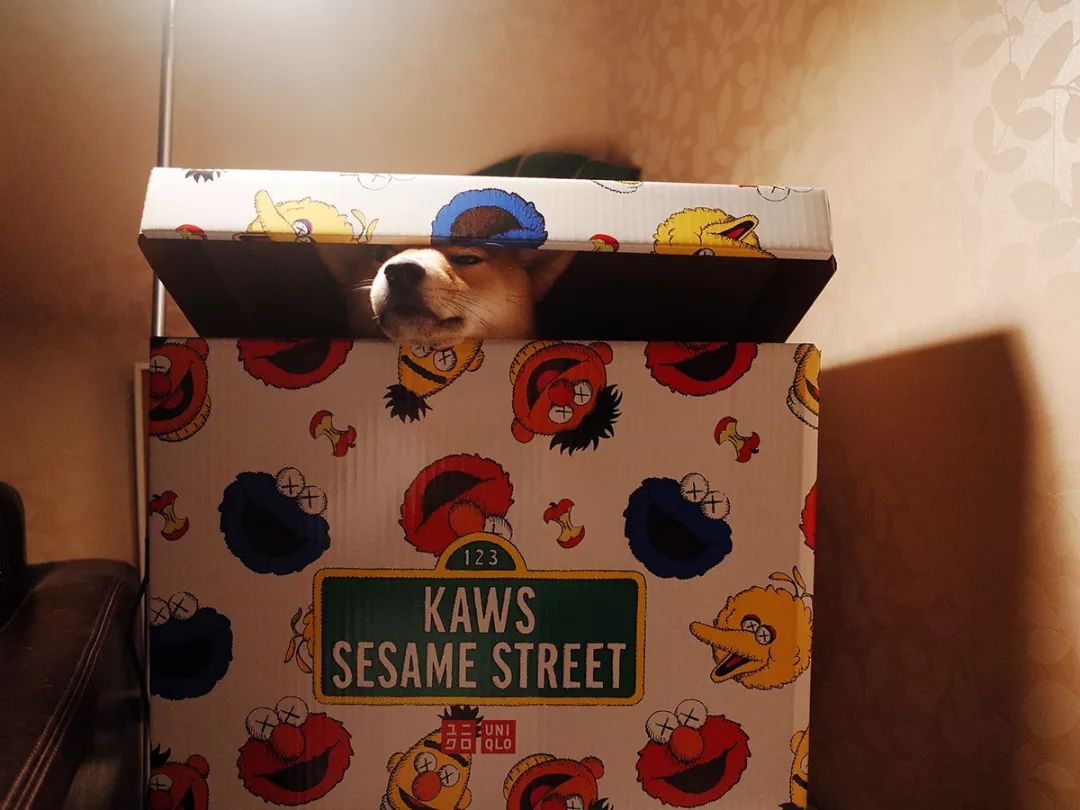 nikeelement87undercover,nikereactundercover联名