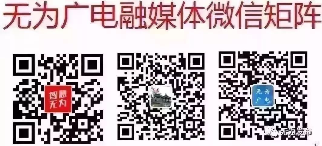 无为籍优秀企业家,无为籍企业家