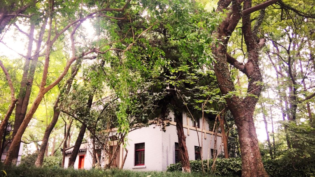 南京下关十二中初中部,下关十二中怎么样