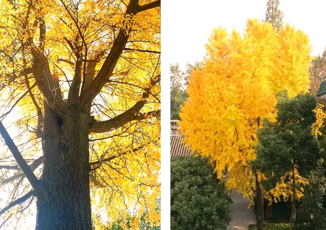 下关十二中怎么样,下关区十二中