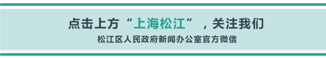 上海松江旅游十大必去景点,上海松江好玩的地方景点推荐