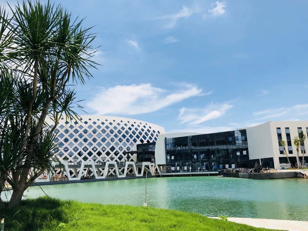 茂名一本四专,从一本到二本的大学