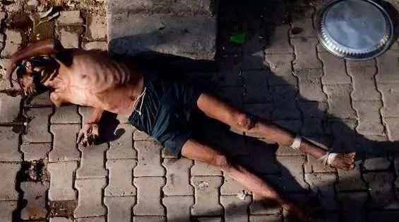 吸毒者最明显的特征是什么,吸毒的人最明显的特征是什么