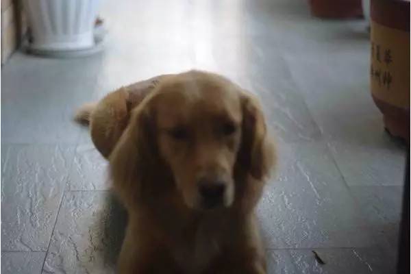 摄影后期怎么提高照片清晰度,不会正确对焦难怪你拍照不清晰