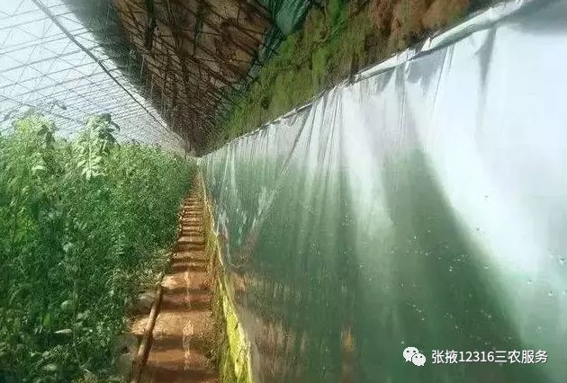 冬天温室大棚保暖的十种方法,温室大棚怎么增温