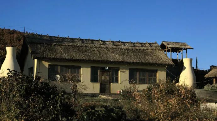 参观了解鹤城文化,鹤城文化生态