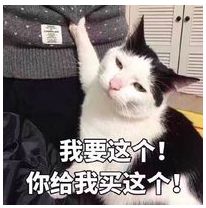 买进口年货不用去港澳人挤人！在珠海这里就能买买买！