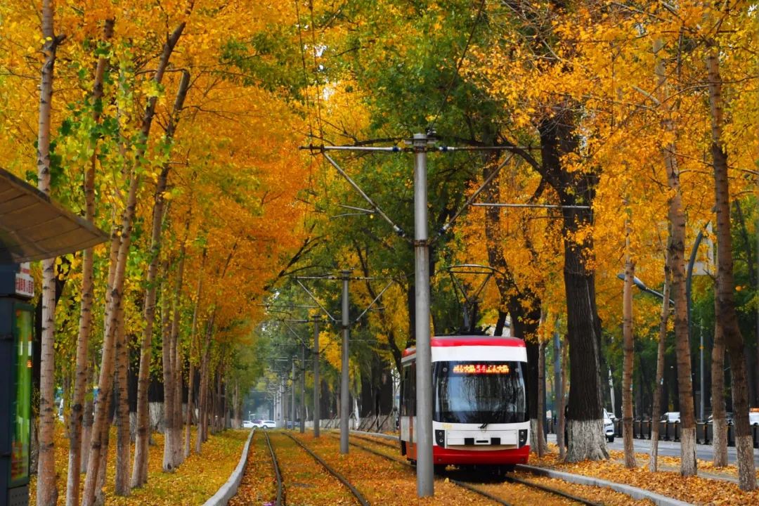 长春免费景点大全集图片,长春市最值得玩的景点排名前十