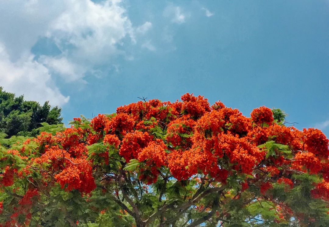 厦门大学毕业生就业质量报告,厦门大学毕业2024年本科生就业率