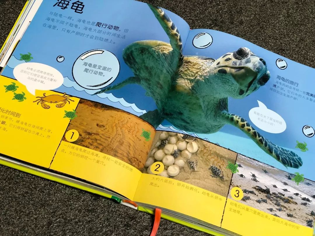 现在的孩子真是不知道怎么想的,现在的孩子真的是脑洞大开