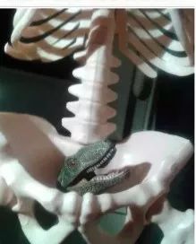 男生对女生来大姨妈有多少误解,女生让男生知道了大姨妈