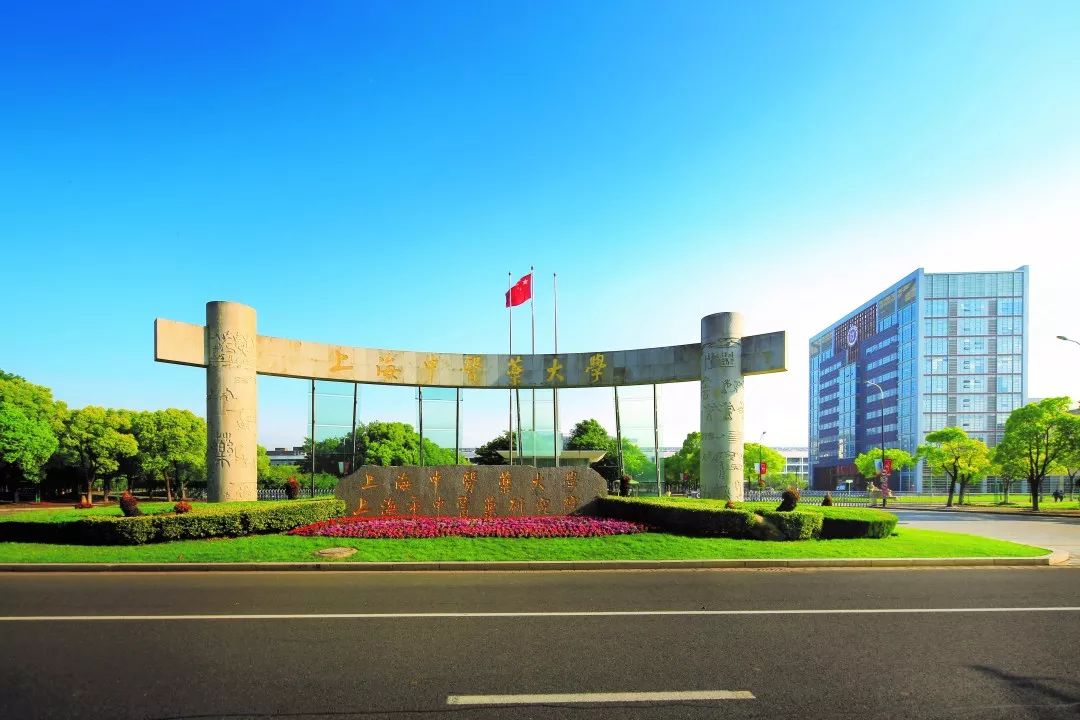 在学生心里播下一颗中医药的种子上海中医药大学中医药实践工作站