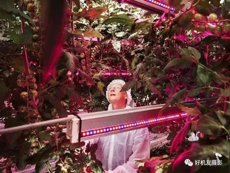 荷赛大奖作品,荷赛2022年获奖作品