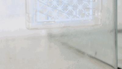 日本黑科技隐形蚊帐随手一挂,最新黑科技蚊帐