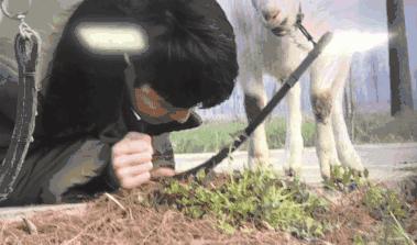 张艺兴喜剧之王键盘,喜剧之王张艺兴