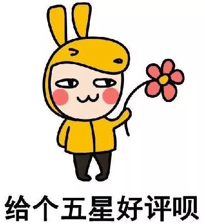 吃了避孕药避孕失败的段子,关于避孕药的段子