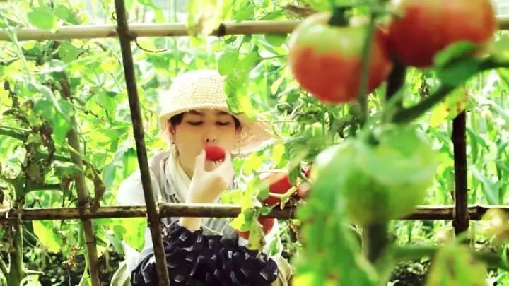 日本有一部关于美食的电影推荐,日本美食电影小森林