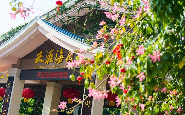 三亚五天四晚划算还是自由行划算,五天四晚三亚省钱攻略