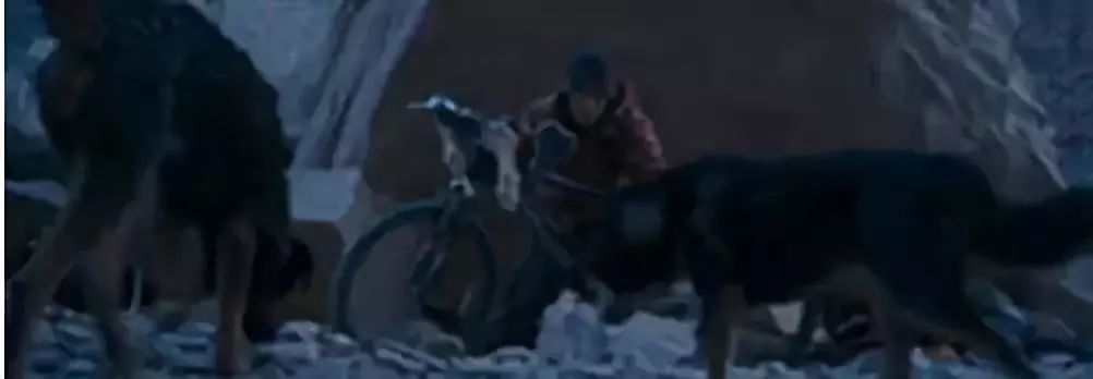 骑车被狗追了应该怎么办,骑行被狗追着咬怎么处理