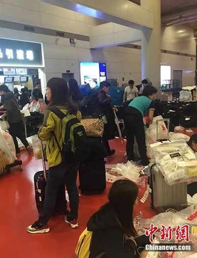 代购的海关货,代购的时光