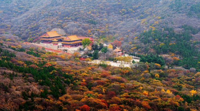 相山公园新增景点,相山公园的变化