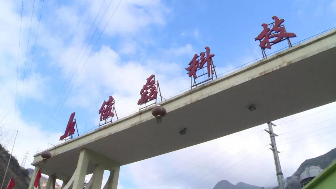 汉源俊磊锌业科技有限公司,汉源俊磊科技有限公司重组