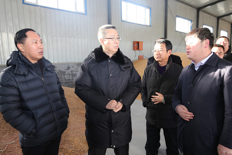 张文玲调研喜泉镇脱贫攻坚,邱文双到巨鹿县调研脱贫攻坚工作