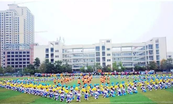 四川足球学校有哪几所,四川绵阳市足球示范学校