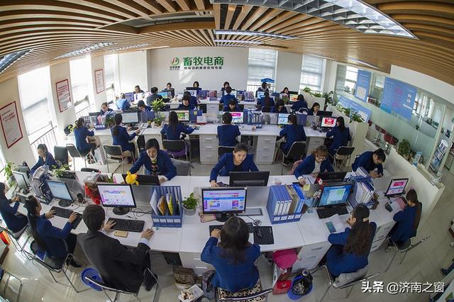 济南养猪第一人,济南电商前十名