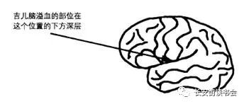 吉尔泰勒自述开悟经历,吉尔泰勒书籍