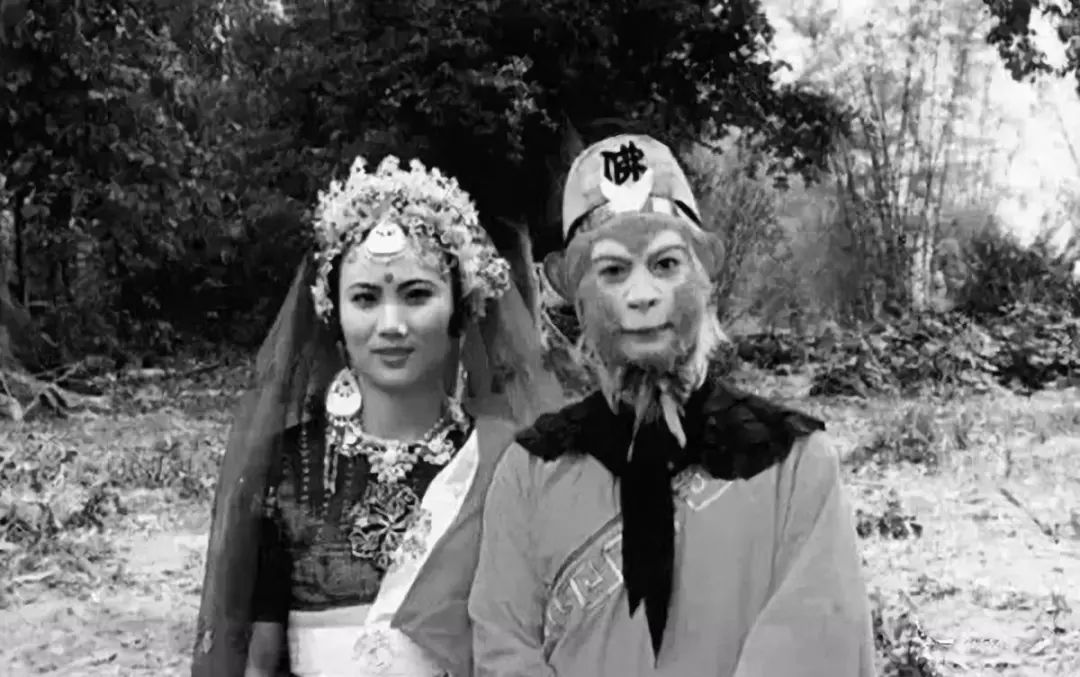 合影留念永不忘,同学合影照时光一去永不回