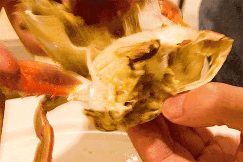 鑲ョ編鐨勫ぇ娴烽矞,鑲ョ編鐨勫ぇ姊瓙锜瑰張鏉ヤ簡