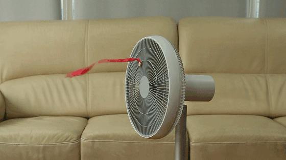 南方回南天潮湿到怀疑人生,南方的回南天潮湿