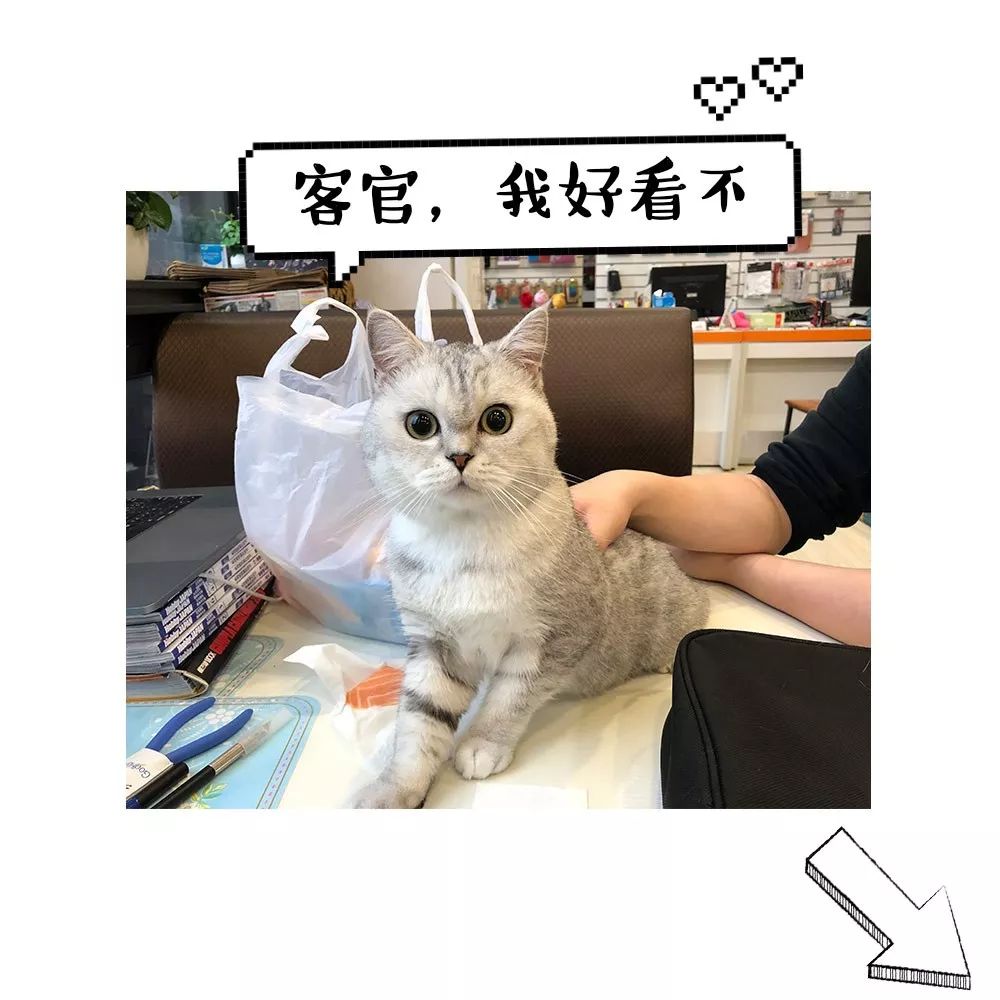 风雷擎天柱IDW拼装模型,idw漫画擎天柱造型