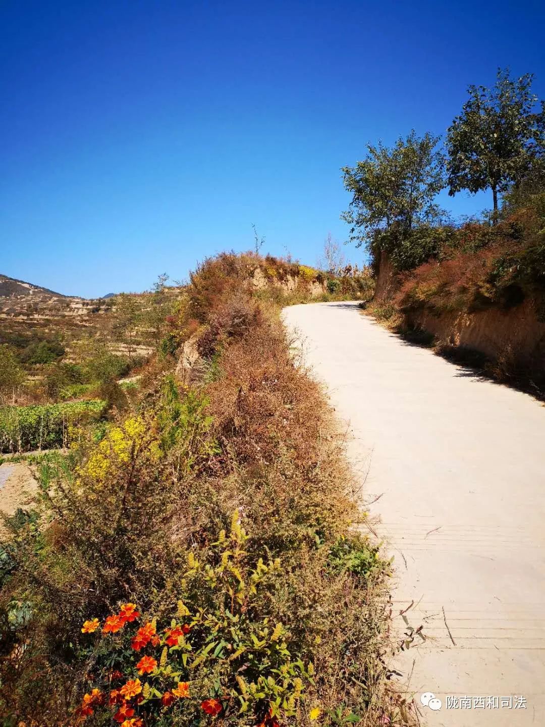 「原创」守望——苏合乡陈地村帮扶小记