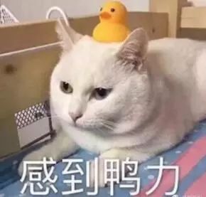 学霸儿子180身高,儿子13周岁才1米67矮吗