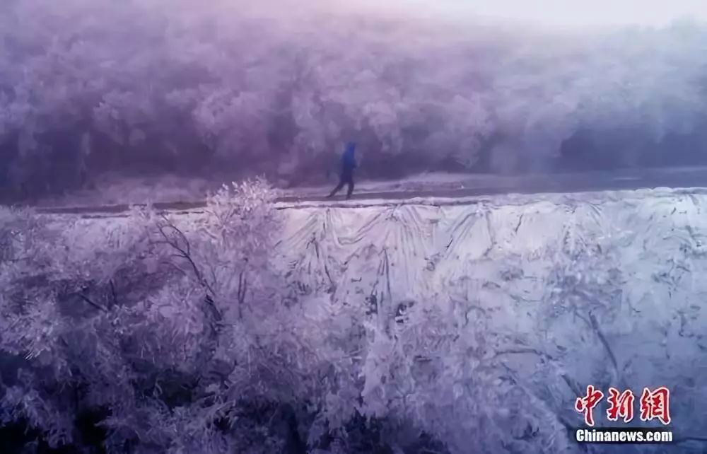 小孩小孩你别馋儿歌央视版,小孩小孩你别馋