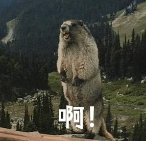 BIG榜|恋物癖盘最时髦的金子当整条GAI最靓的仔！