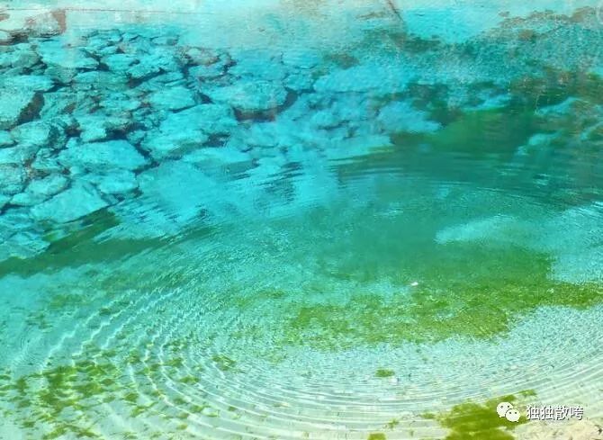 大洪山风景区白龙池传说,随州民间传说九龙山的故事