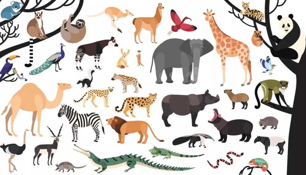 中国投资人,中国投资人有名的